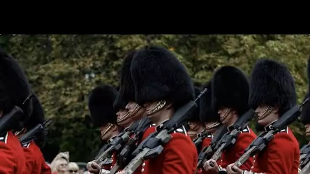 Royaume-Uni : une entreprise française va fournir la fourrure des chapeaux de la garde royale