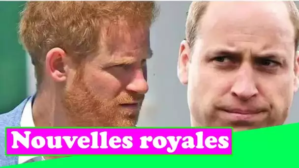 Le prince Harry et le prince William "ne sont pas liés" par une faille - "Je viens de bouger dans un