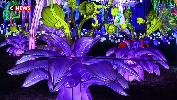 Un festival de lumières au zoo de Thoiry