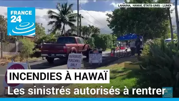 Incendies à Hawaï : un mois et demi après, les sinistrés autorisés à rentrer • FRANCE 24