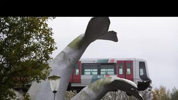 Pays-Bas : un métro qui déraille s'échoue sur une sculpture de baleine