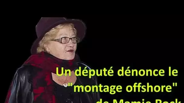 Héritage de Johnny Hallyday: un député dénonce le "montage offshore" de Mamie Rock