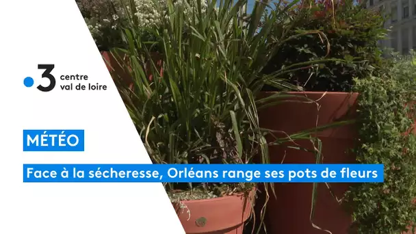 Sécheresse : à Orléans, des solutions alternatives à l'arrosage des fleurs dans la ville