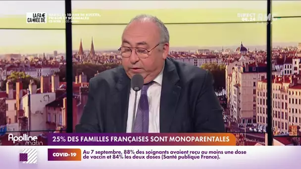 Lechypre du jour : il y a 25 % de familles monoparentales en France.