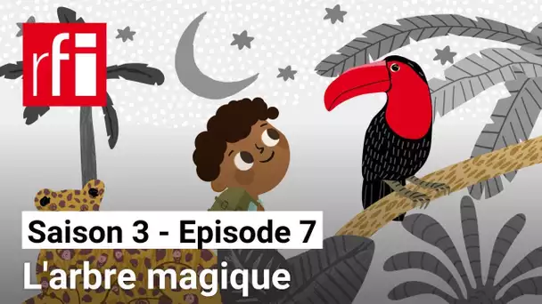 L'Afrique en conte S3 [7] : L'arbre magique • RFI