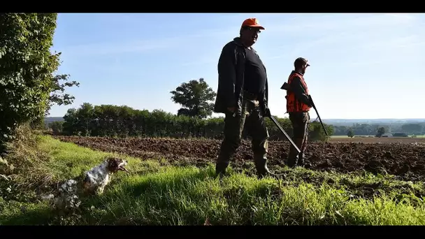 Sécurité : pourquoi l'application «Suricate» pourrait bientôt localiser les chasseurs ?