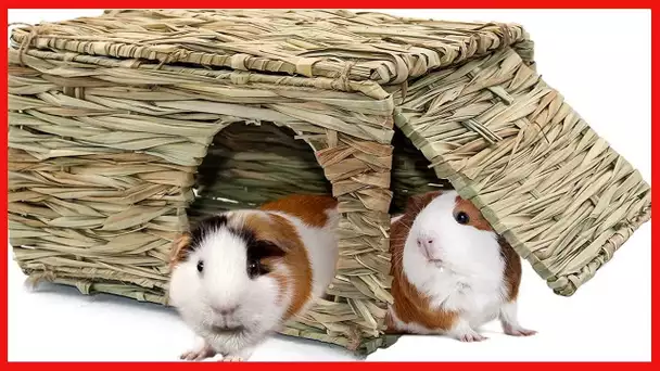 BWOGUE Large Grass House for Guinea Pigs,Hand Woven Straw Hut Foldable Small Animal Play Hideaway