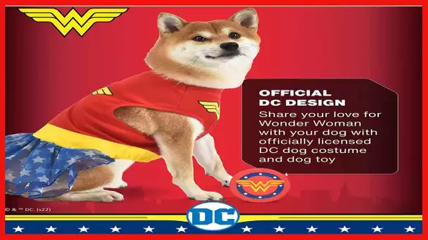 DC Wonder Woman Dog Costume Medium | Best DC Wonder Woman Halloween Costume for Medium Dogs