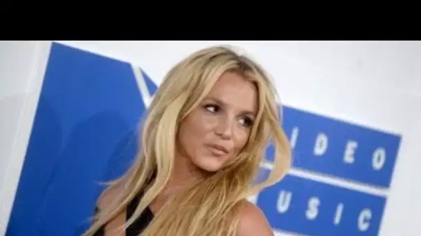 Britney Spears : sa gouvernante l'accuse de maltraitance envers ses chiens