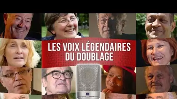 Ils prêtent leur voix à Julia Roberts, Bruce Willis ou Son Goku: les grands doubleurs...