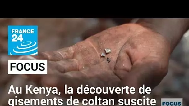 Transition écologique : le coltan, nouvel eldorado du Kenya ? • FRANCE 24