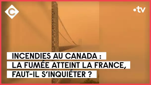 Incendies au Canada, extrême droite en Allemagne,- Le 5/5 - C à Vous - 26/06/2023