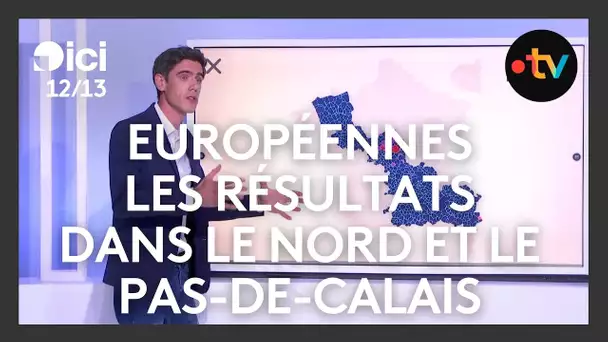 Résultats des Européennes dans le Nord et le Pas de Calais