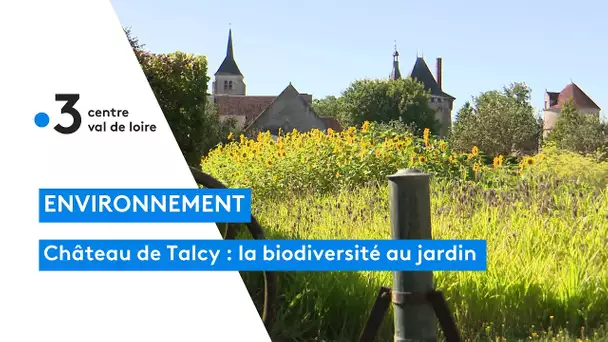 Château de Talcy : un parc entretenu sans herbicide ni engrais chimiques