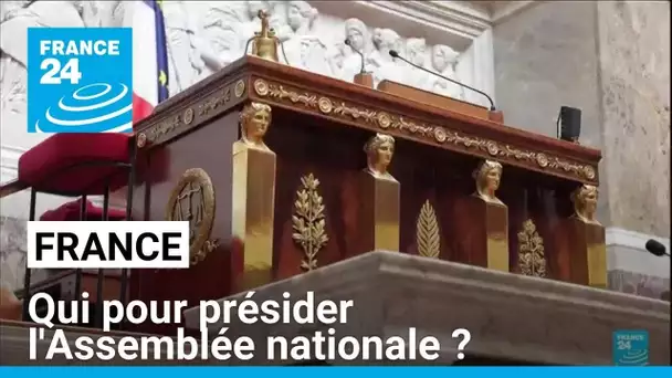 France : qui pour présider l'Assemblée nationale ? • FRANCE 24