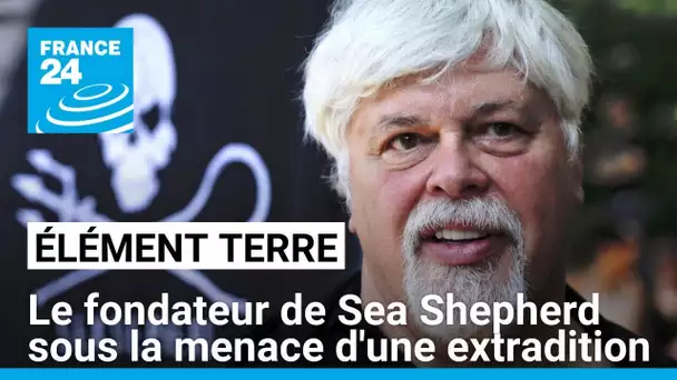 Le fondateur de l'ONG Sea Shepherd sous la menace d'une extradition vers le Japon • FRANCE 24