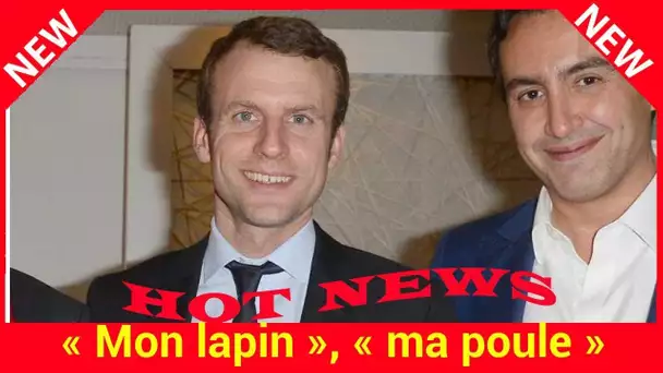 « Mon lapin », « ma poule » : les drôles de SMS entre Emmanuel Macron et son copain banquier