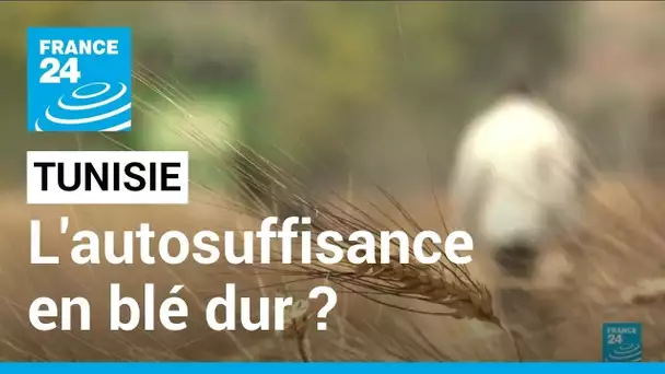 La Tunisie cherche l'autosuffisance en blé dur • FRANCE 24