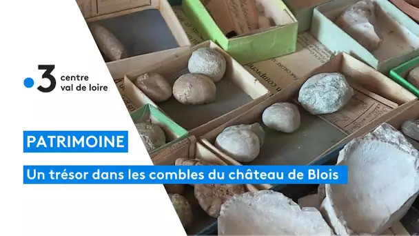 Patrimoine : inventaire d'une collection inédite de la réserve du château de Blois