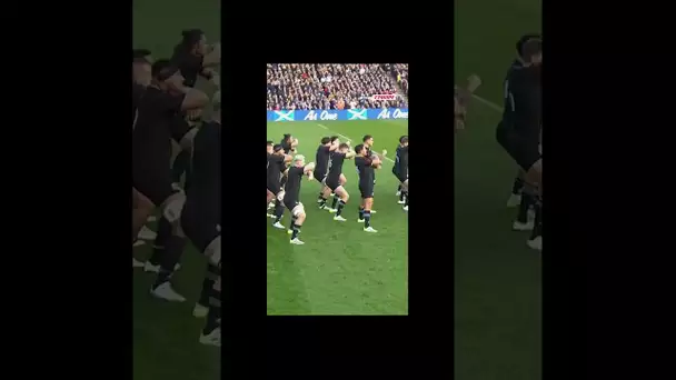 Le Haka des All Blacks avant la victoire face à l'Ecosse #shorts