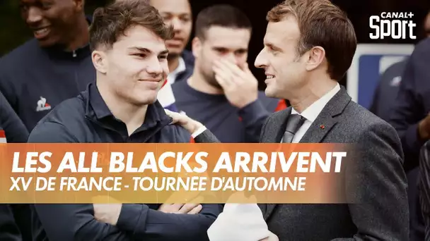 Le clash contre les All Blacks arrive