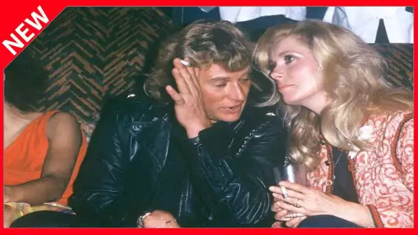 ✅  Johnny et Catherine Deneuve, leur idylle confirmée par Bernard Montiel