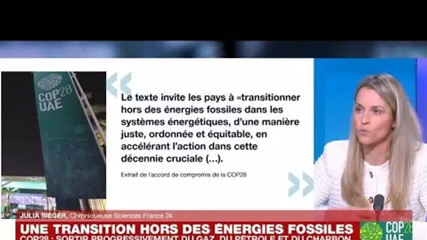 Accord de la COP28 : une sortie progressive du gaz, du pétrole et du charbon • FRANCE 24