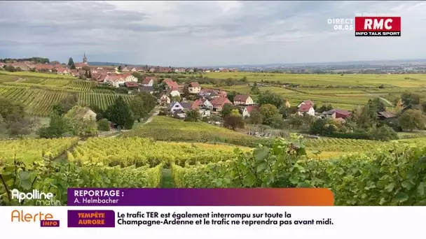 L'Alsace attire du monde pour les vacances de la Toussaint