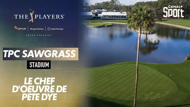 Les 18 trous du TPC Sawgrass, le parcours du Players - Golf