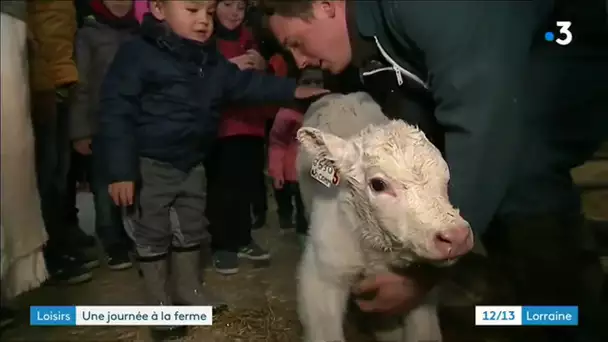 Bienvenue à la ferme - Exemple à Agincourt