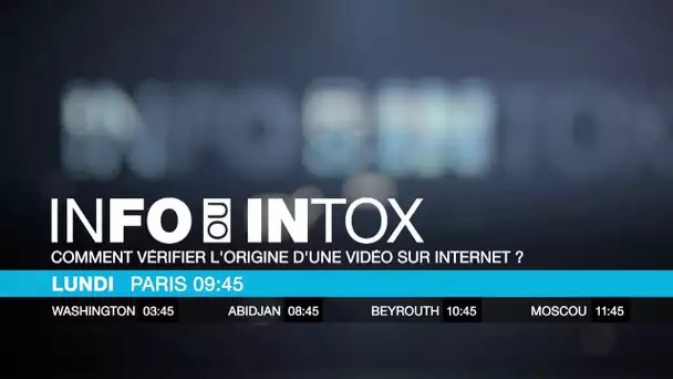 INFO OU INTOX : Comment vérifier l'origine d'une vidéo sur internet ?