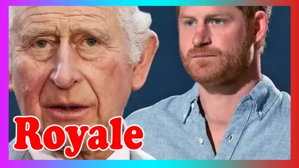 Les frictions «pas toutes roses» entre Harry et Charles sont exposées après une «blessure» Megxit