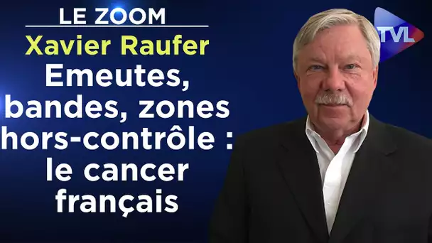 Emeutes, bandes, zones hors-contrôle : le cancer français - Le Zoom - Xavier Raufer - TVL