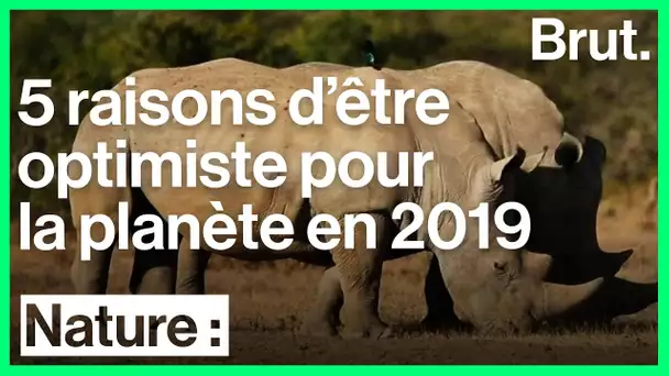 5 raisons d&#039;être optimiste pour la planète en 2019