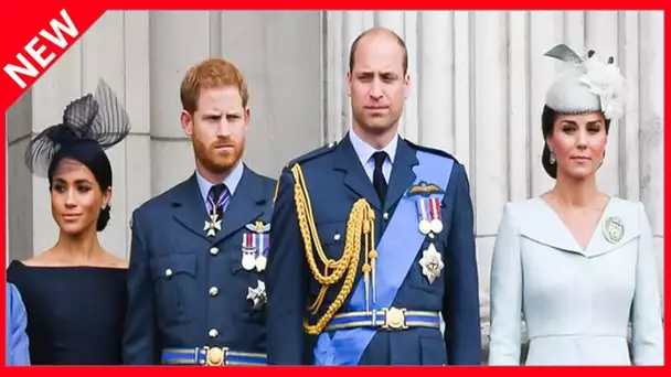 ✅  Harry et William en guerre ? Ce nouveau brûlot qui risque d’attiser leur antagonisme