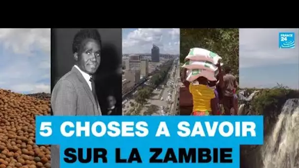 5 choses à savoir sur la Zambie • FRANCE 24