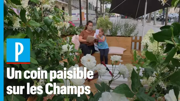 Champs-Elysées : des terrasses végétalisées  « pour faire revenir » les Parisiens