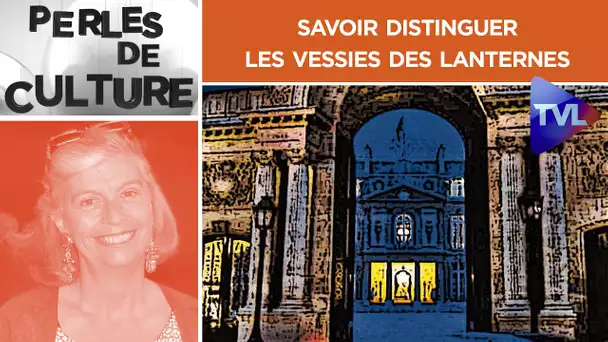 Savoir distinguer les vessies des lanternes - Perles de Culture n°293 - TVL