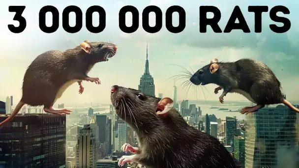 Les Rats Envahissent les Plus Grandes Villes, la Vôtre est la Prochaine
