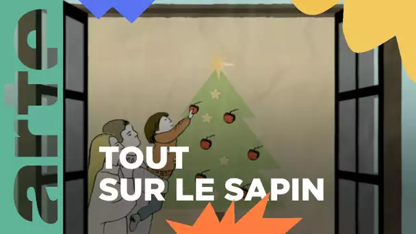 Dossier : les sapins de Noël | ARTE