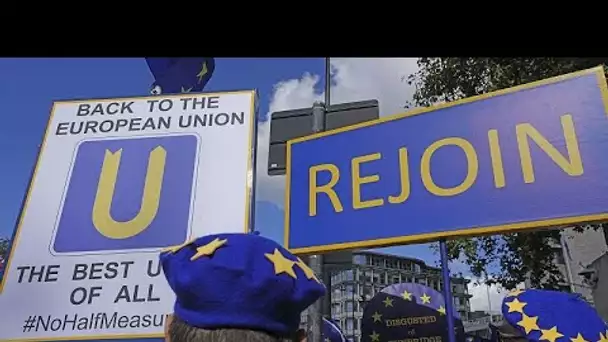 Rejoindre l'Union européenne, le rêve des manifestants à Londres