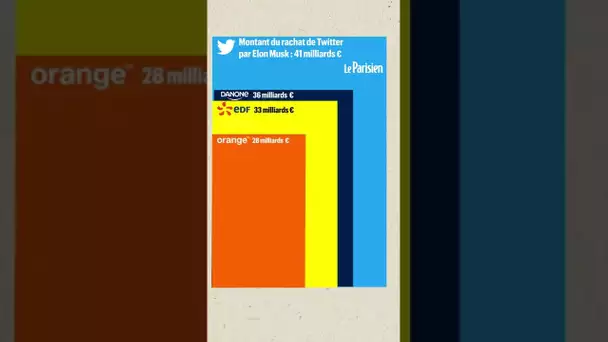 Elon Musk a racheté Twitter pour 41 milliards d'euros. Mais qu'est-ce que cette somme représente ?