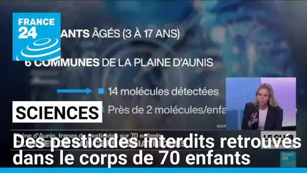 Des pesticides interdits retrouvés dans le corps de 70 enfants près de La Rochelle • FRANCE 24