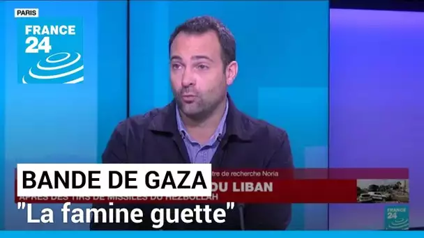 Situation humanitaire à Gaza : "La famine guette" • FRANCE 24