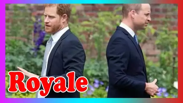 Le lien du «oncle amusant» Harry avec son neveu George «a s0uffert» après une «rupture» avec William