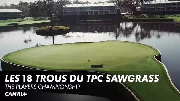 Les 18 trous du TPC Sawgrass, un chef d'oeuvre signé Pete Dye qui accueille le Players Championship