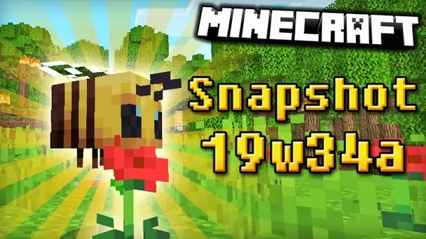 DES ABEILLES ! | MINECRAFT SNAPSHOT 19w34a ( 1.15 )