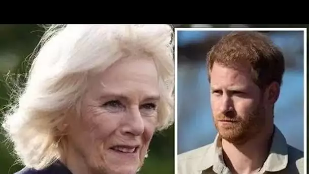 Le prince Harry men@ce de « dévoiler la vérité » sur sa relation difficile avec Camilla dans un livr