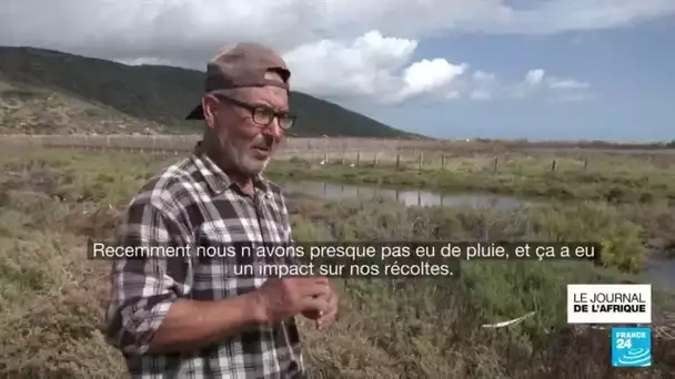 Tunisie : un système d'irrigation menacé par le réchauffement climatique • FRANCE 24