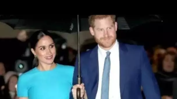 La société de sécurité de Meghan et Harry embauche un technicien d'alarme à 35 £ de l'heure